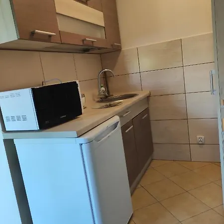 公寓 Pod Brzozami 格里兹鲍