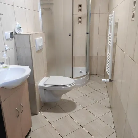 公寓 Pod Brzozami 格里兹鲍